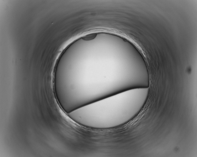 X0000100191535200805300713