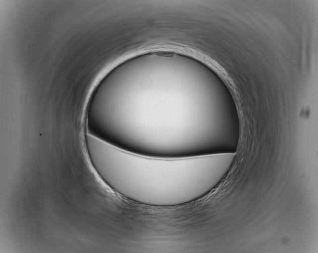 X0000100191536200805300713