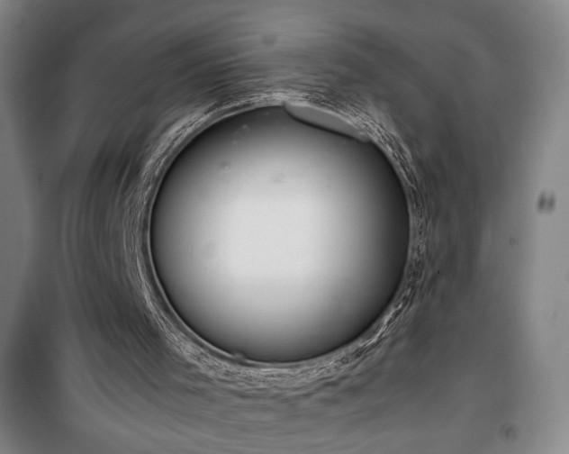 X0000100190001200805301258