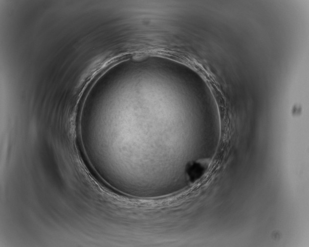 X0000100190002200805301258