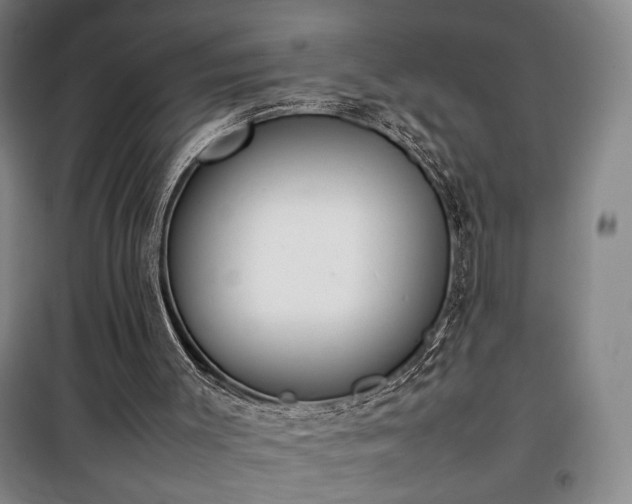 X0000100190003200805301258
