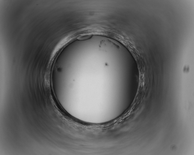 X0000100190004200805301258