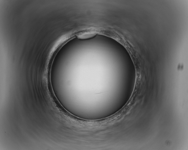 X0000100190006200805301258
