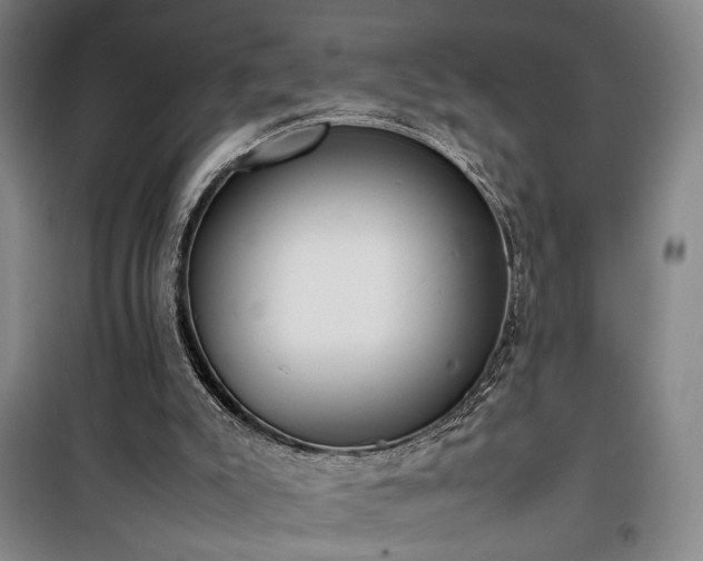 X0000100190007200805301258