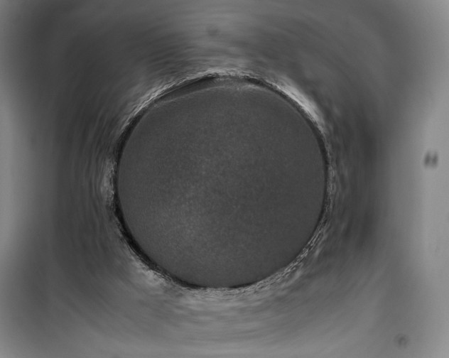 X0000100190009200805301258