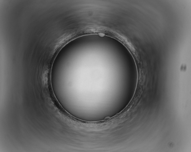 X0000100190010200805301258