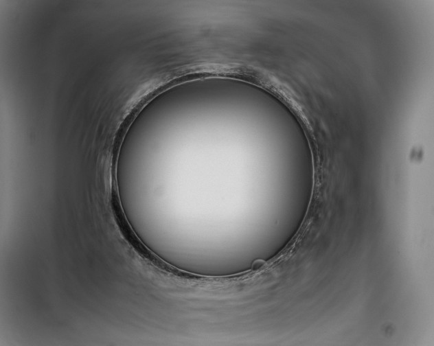 X0000100190011200805301258