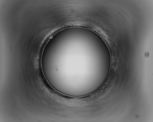 X0000100190012200805301258