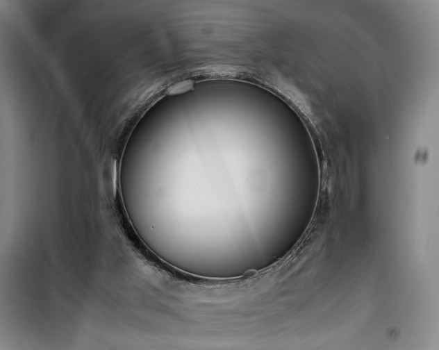 X0000100190013200805301258