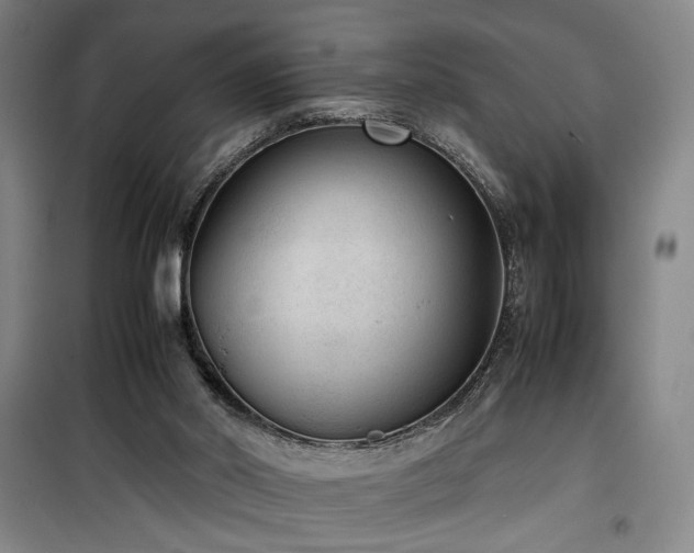 X0000100190014200805301258
