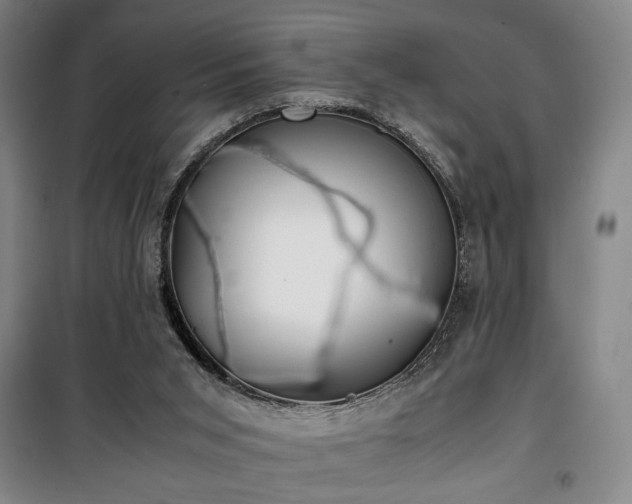 X0000100190015200805301258