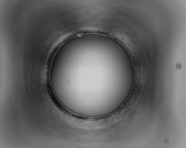 X0000100190016200805301258