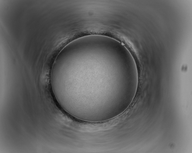 X0000100190017200805301258