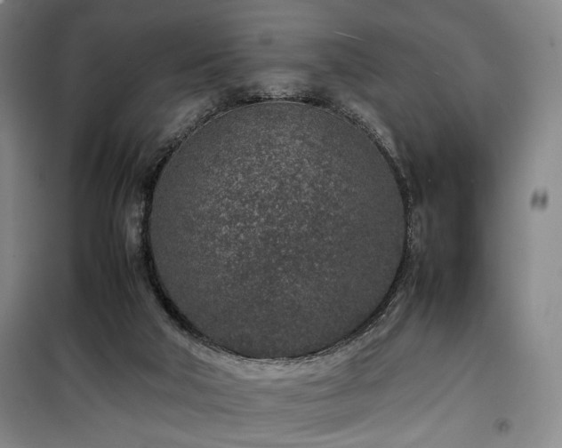 X0000100190018200805301258
