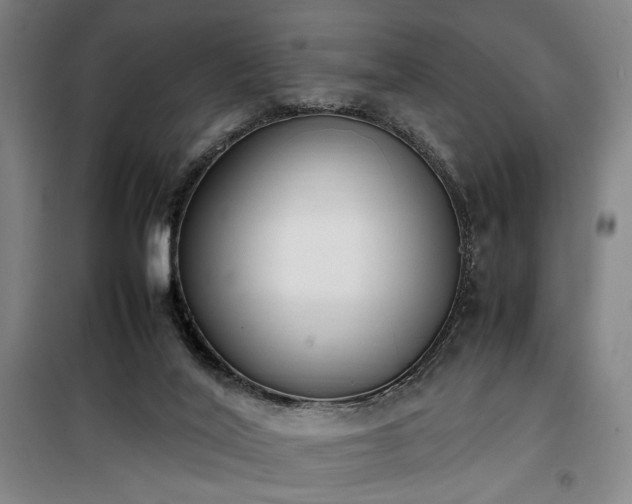 X0000100190020200805301258