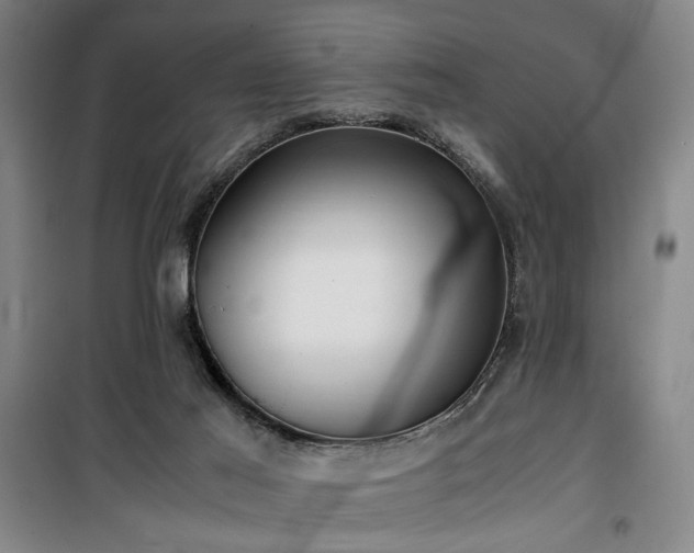 X0000100190021200805301258