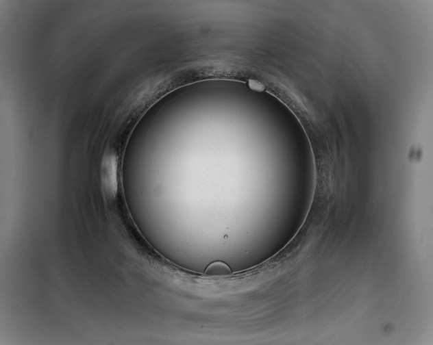 X0000100190022200805301258