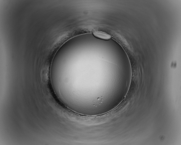X0000100190023200805301258