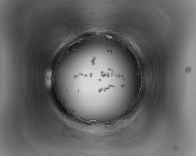X0000100190024200805301258