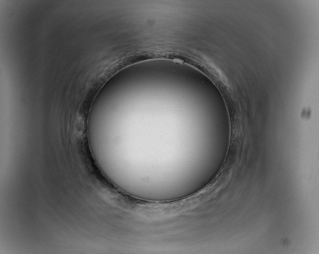 X0000100190025200805301258