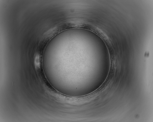 X0000100190026200805301258