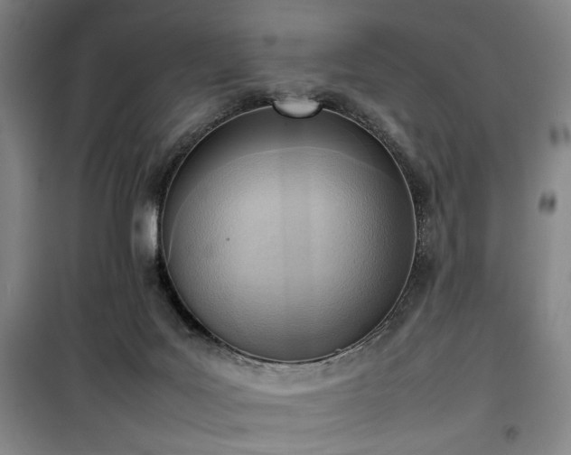 X0000100190027200805301258