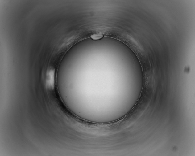 X0000100190028200805301257