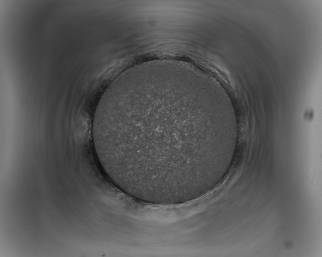 X0000100190029200805301257