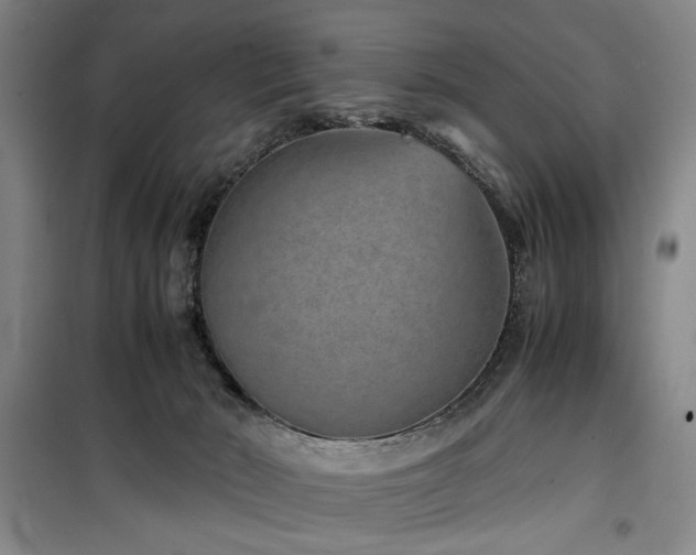 X0000100190030200805301257