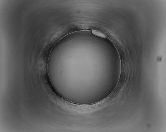 X0000100190031200805301257