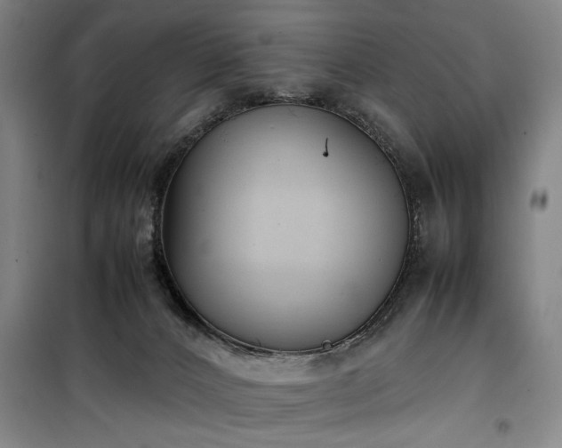 X0000100190032200805301257