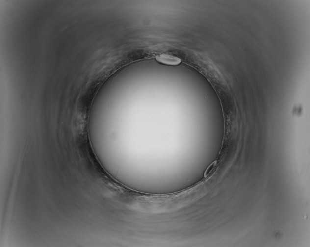 X0000100190033200805301257
