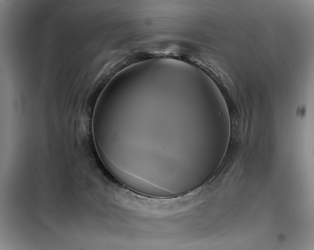 X0000100190035200805301257