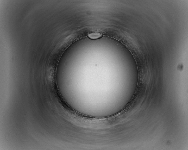 X0000100190036200805301257
