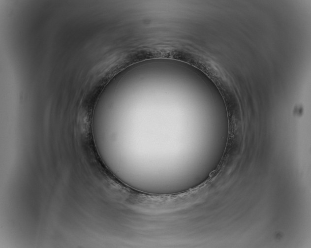 X0000100190037200805301257