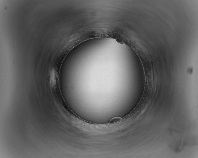 X0000100190038200805301257