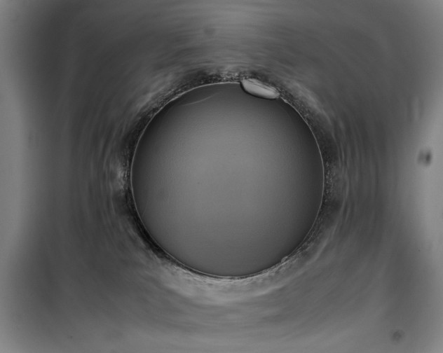 X0000100190039200805301257