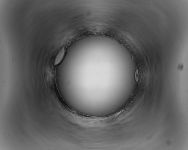 X0000100190040200805301257