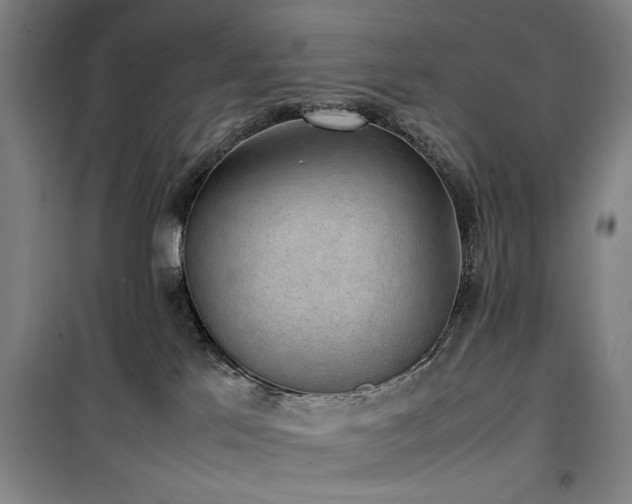 X0000100190041200805301257