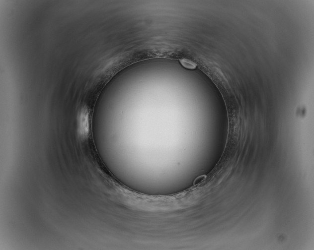 X0000100190042200805301257