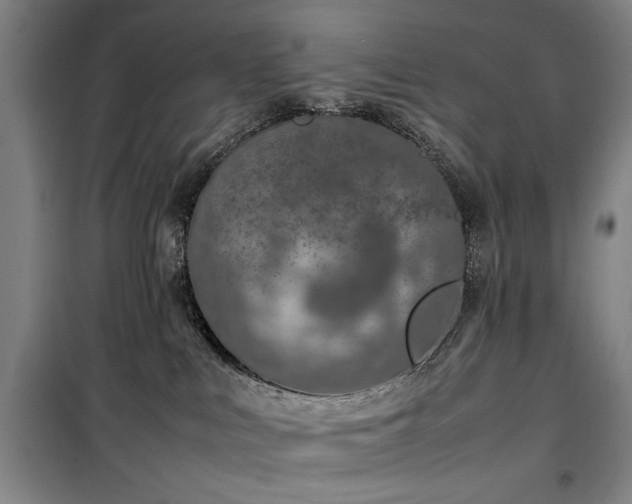 X0000100190043200805301257
