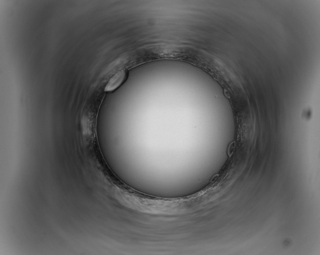 X0000100190044200805301257