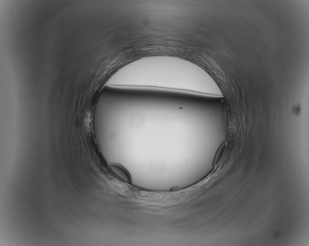 X0000100190045200805301257