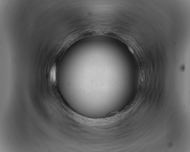 X0000100190046200805301257