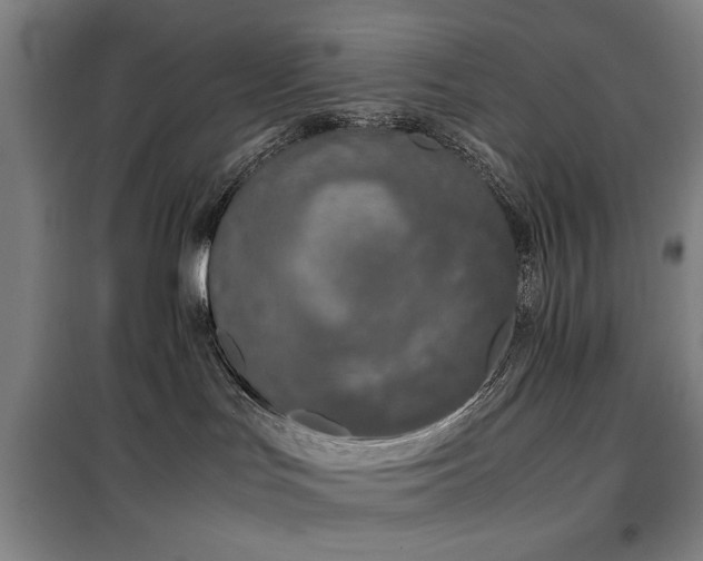 X0000100190047200805301257