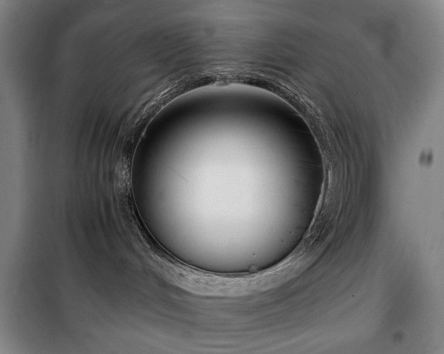 X0000100190048200805301257