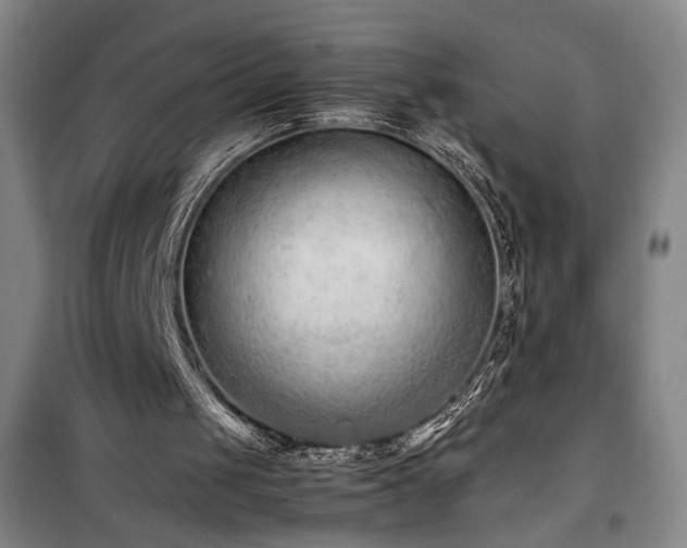 X0000100190049200805301257