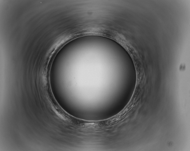 X0000100190050200805301257