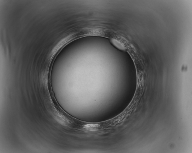 X0000100190051200805301257