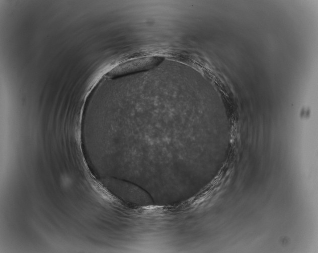 X0000100190052200805301257